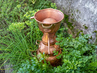 Kräuterworkshop Andrea Gabl Hydrolate oder Pflanzenwässer