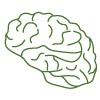 Neuromentaltraining Salzburg