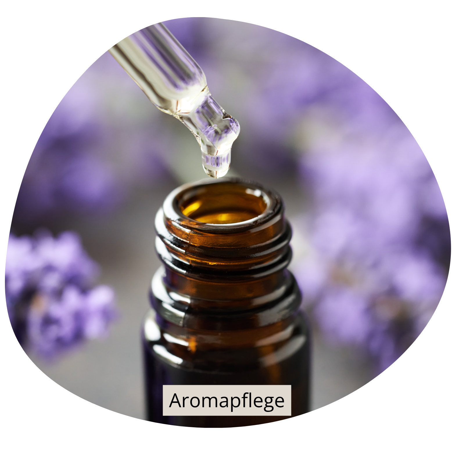 FOTO - Aromapflege Andrea-Gabl-Führungskräfte-Mentoring_Mitarbeitertraining_Salzburg_Oberösterreich