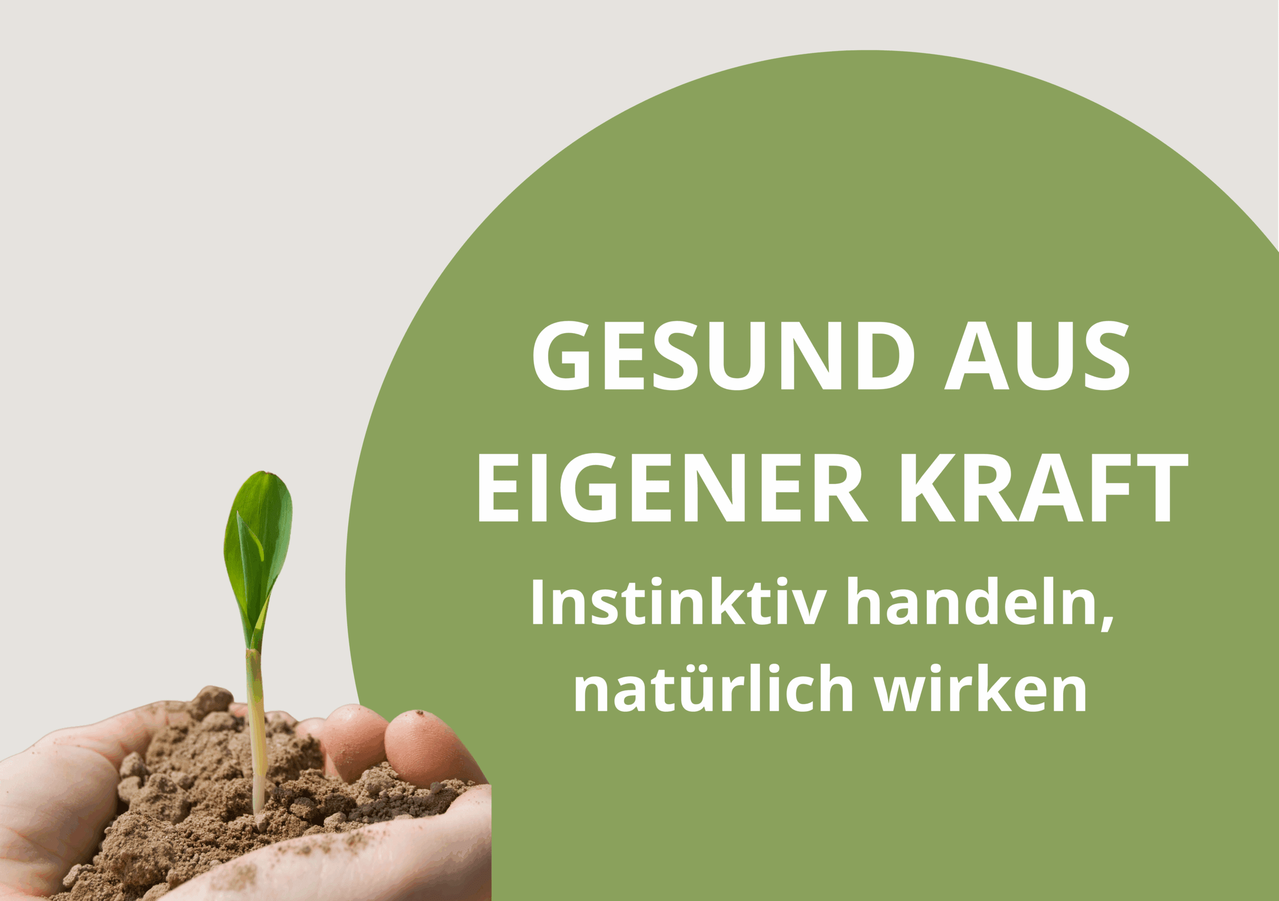 Aromapflege Einführung - Workshop - Fachvortrag