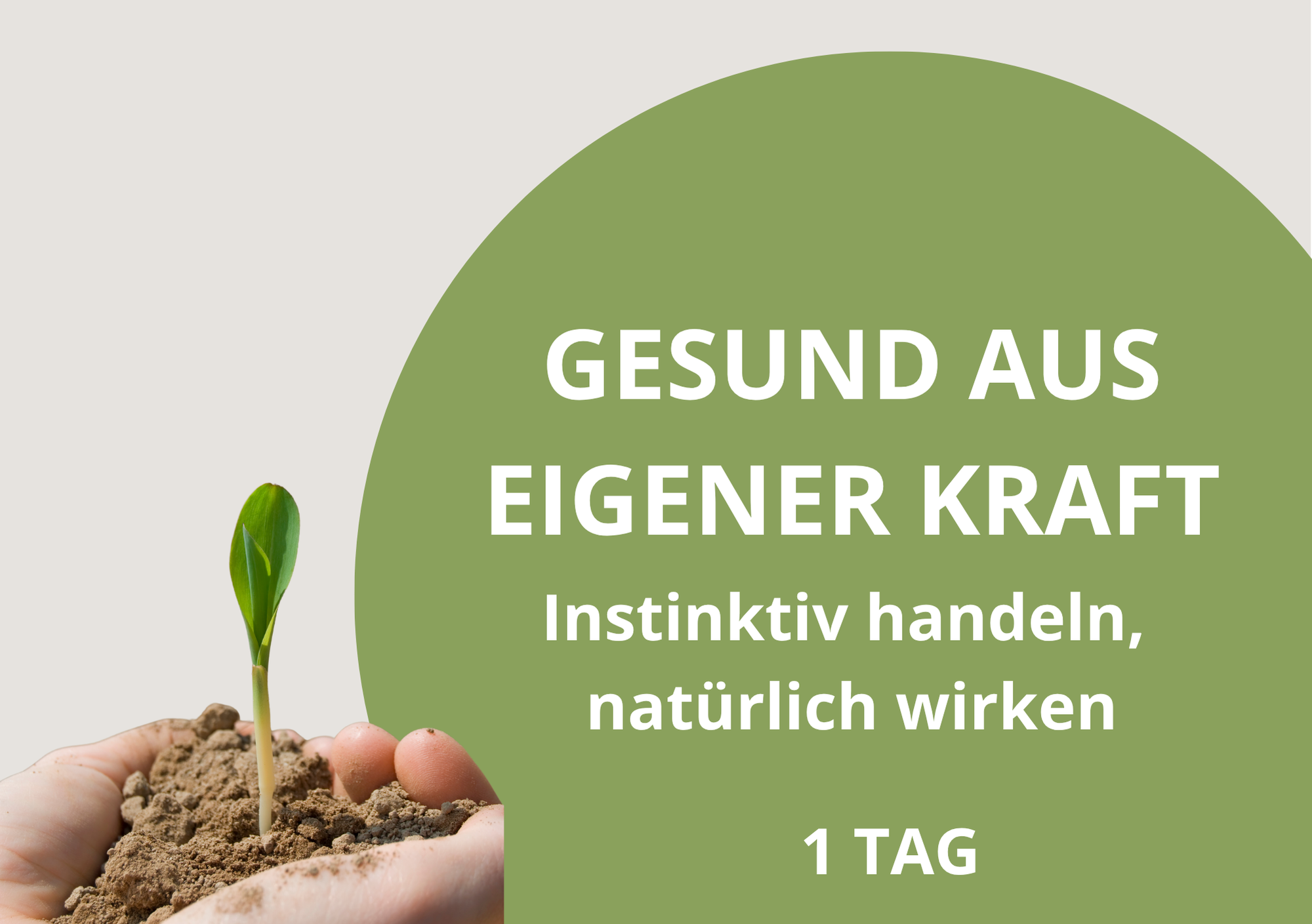 Aromapflege Einführung - Workshop - Fachvortrag
