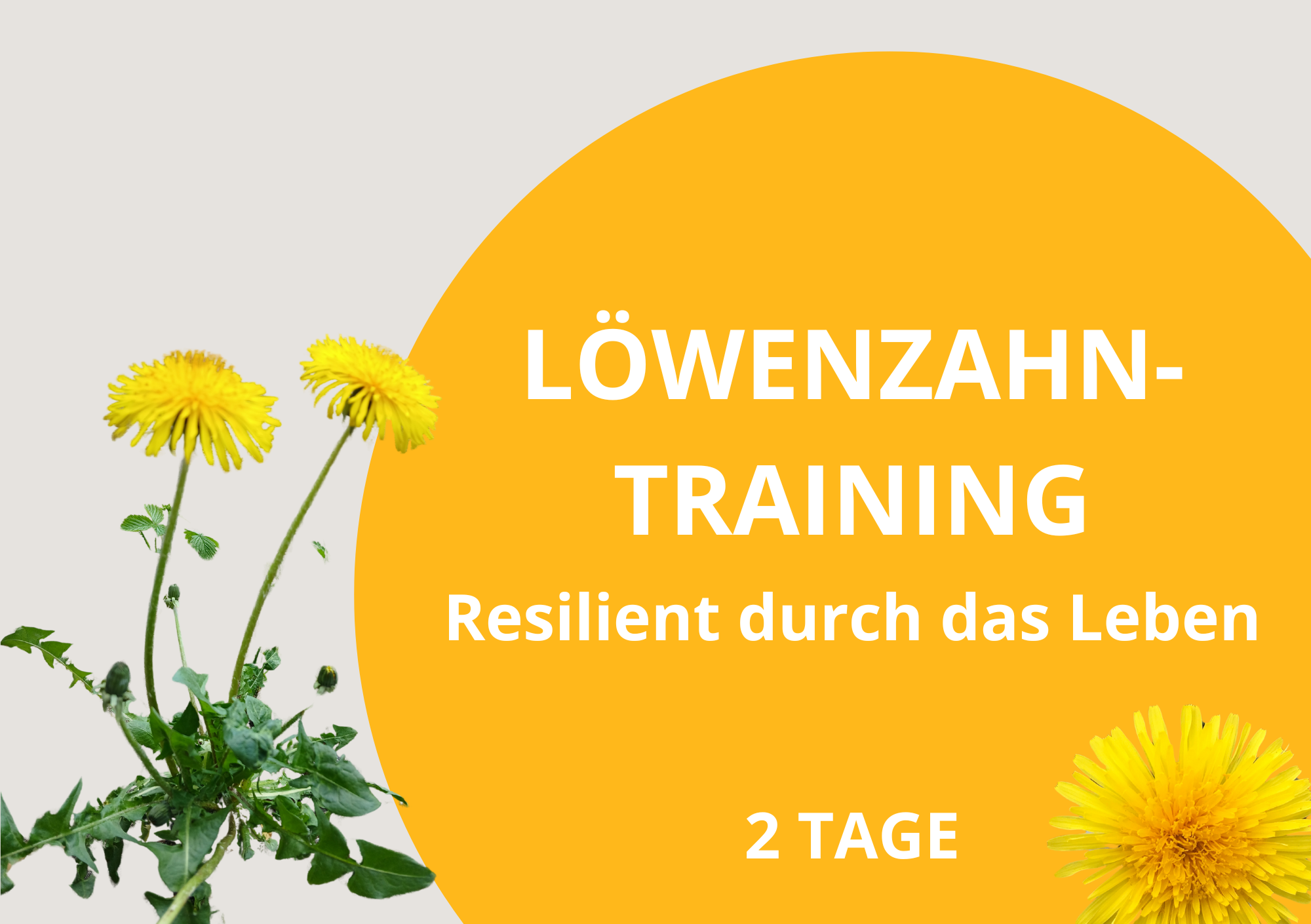 Aromapflege Einführung - Workshop - Fachvortrag